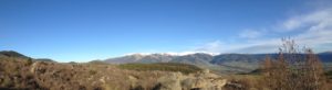 cropped-IMG_3241.jpg